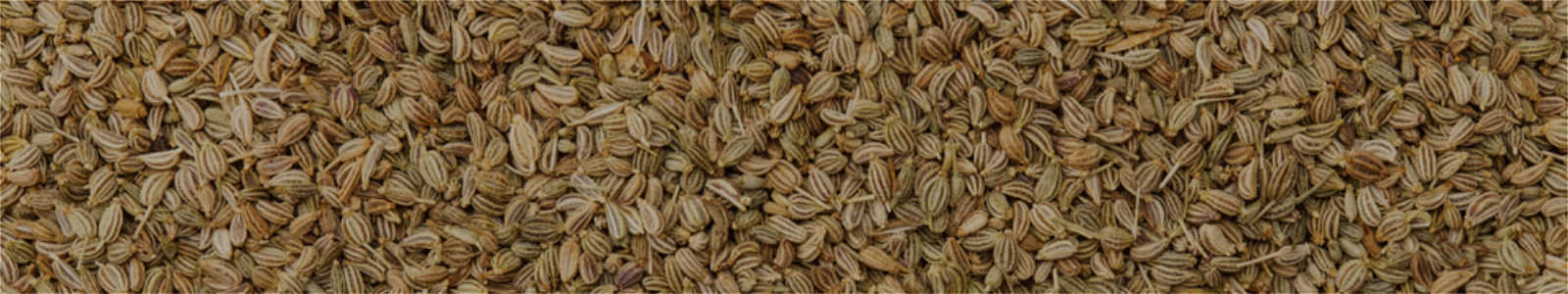 Ajwain Seed