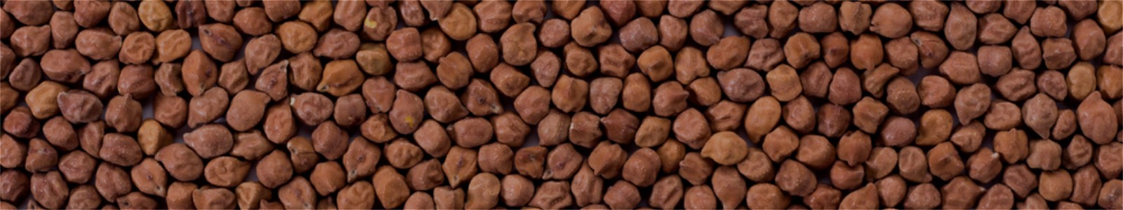 Brown Chickpeas