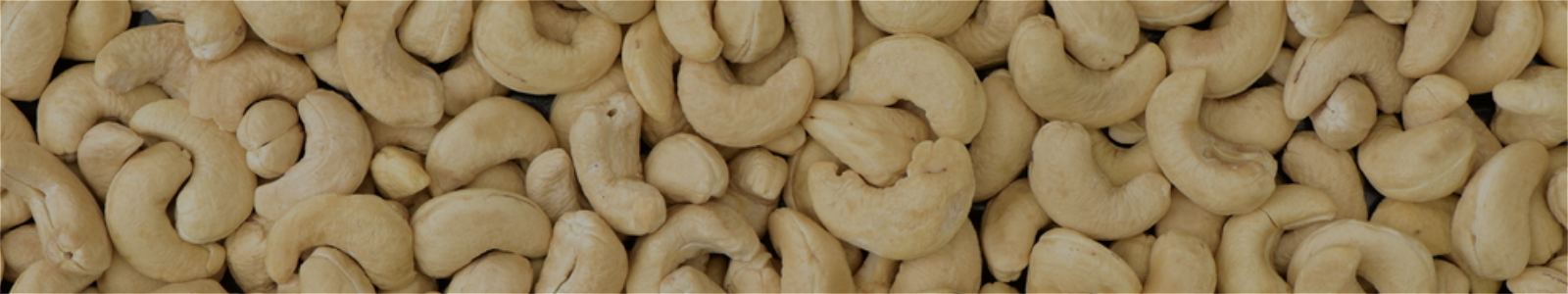 Cashews
