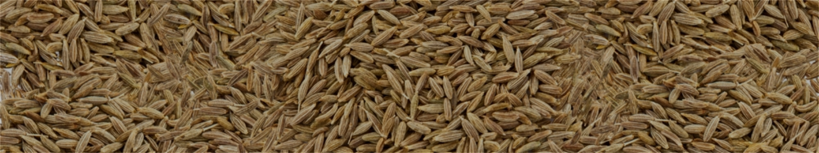 Ipm Cumin Seed
