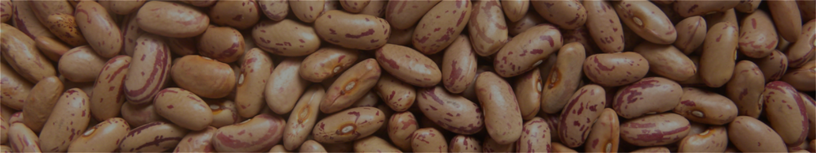 Light Sparkled Kidney Beans