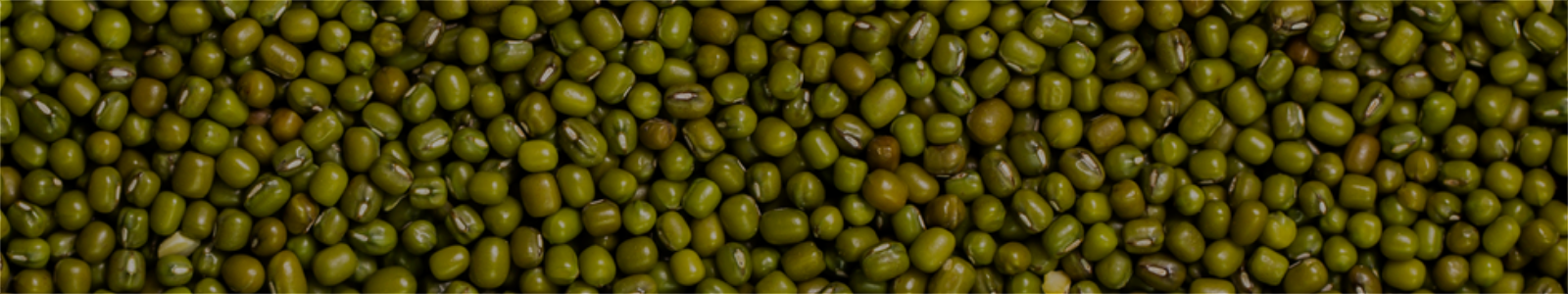 Moong Beans Whole / Split