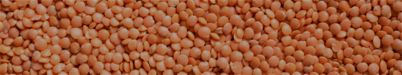 Red Lentils Whole / Split