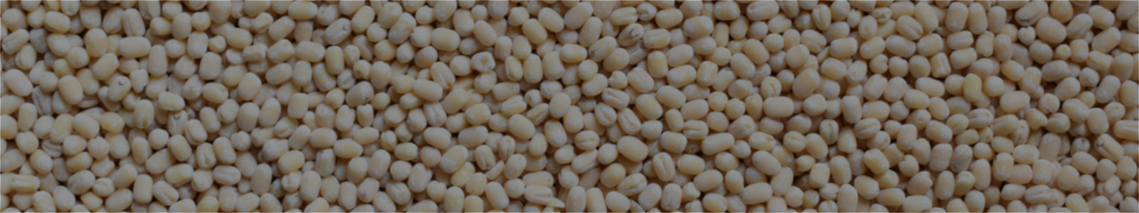 Urad Dal