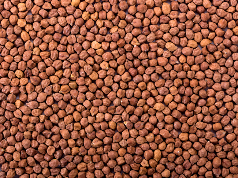 Brown Chickpeas