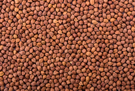 Brown Chickpeas