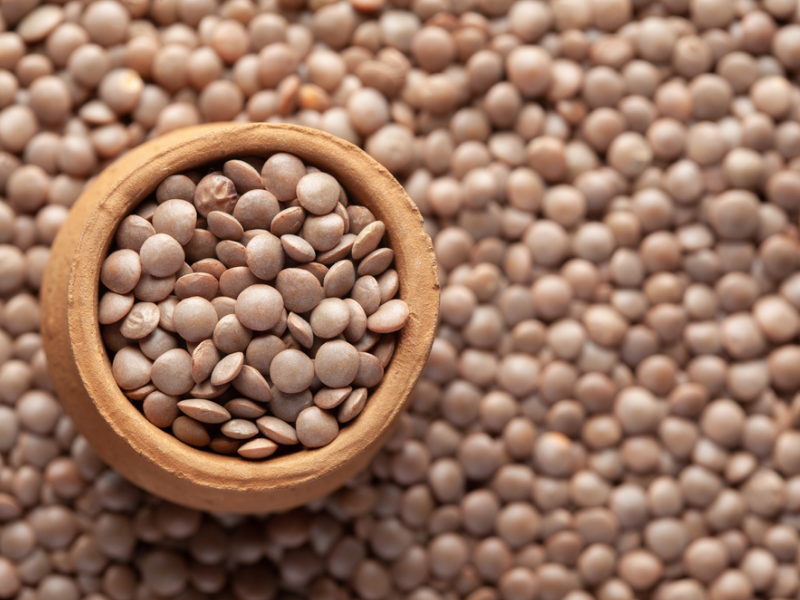 Brown Lentils Whole