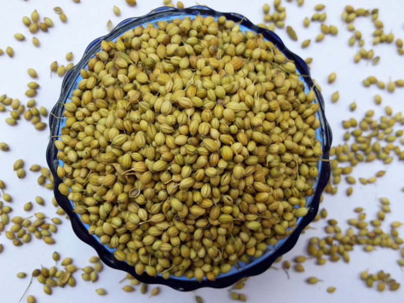 Coriander Seed